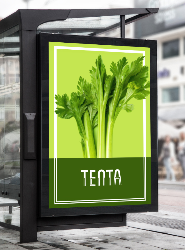DS – Tenta – Web_3 copy 5